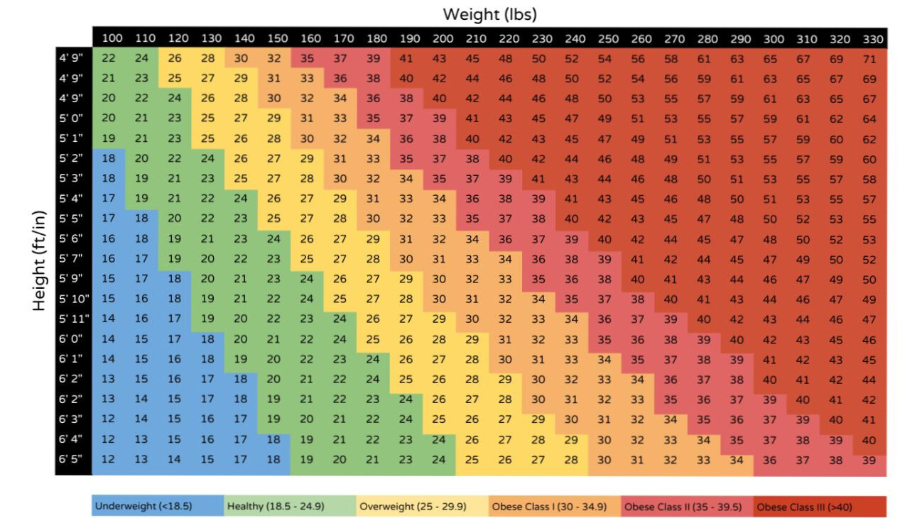 BMI Calculator - Calculate Your Body Mass Index | Experts24x7