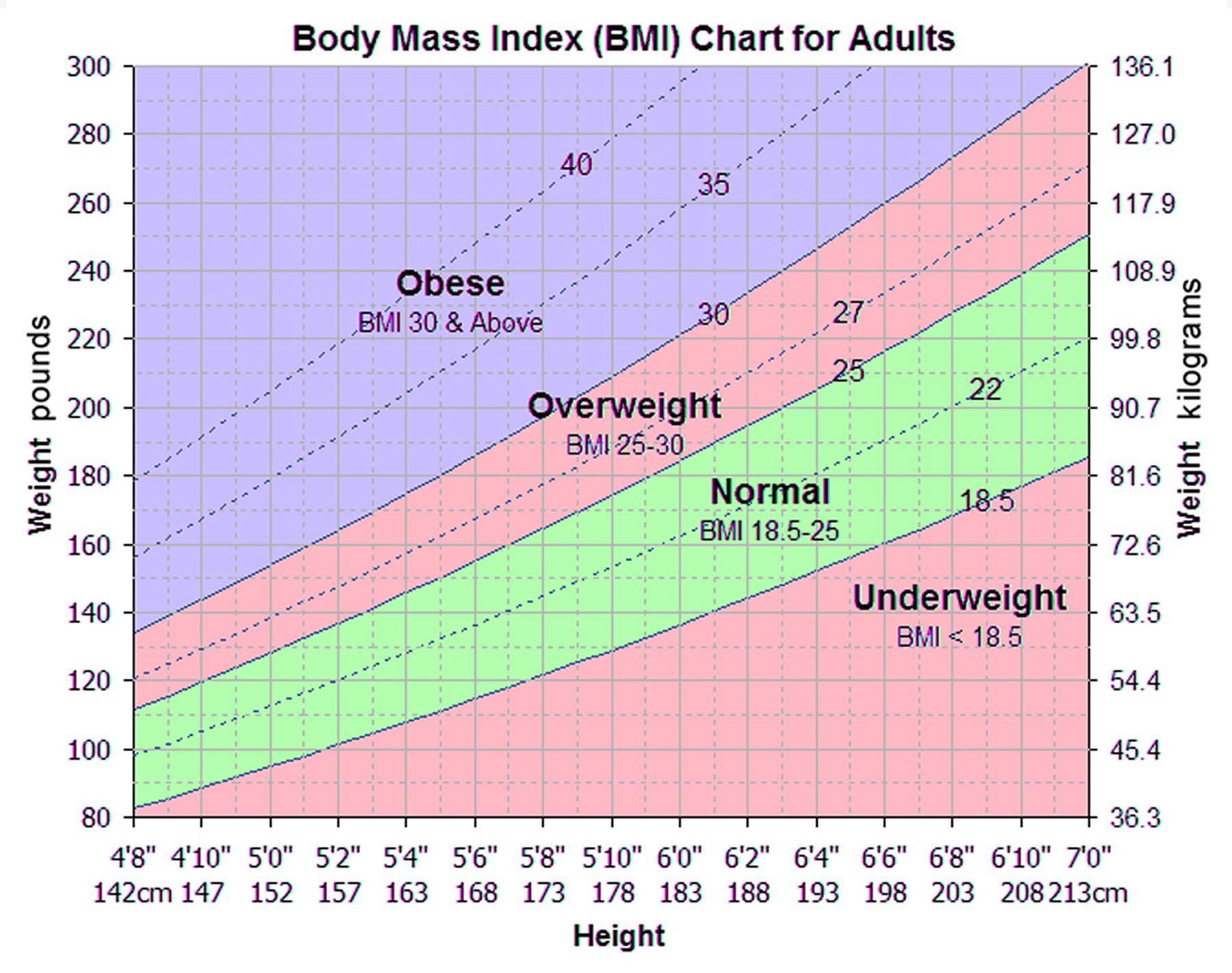 BMI Calculator - Calculate Your Body Mass Index | Experts24x7