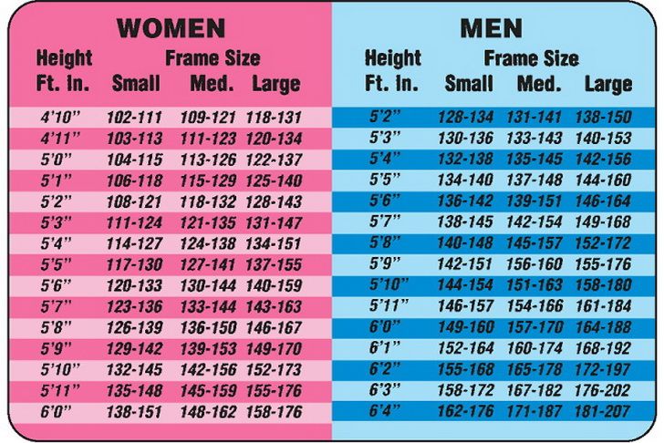 BMI Calculator - Calculate Your Body Mass Index | Experts24x7